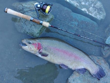 放流不発 ～天竜川ルアーフライ専用区～